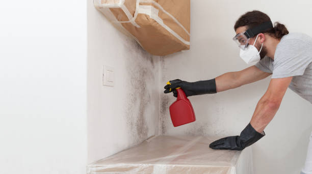 Professional Bathroom Mold Removal technician working in Mount Savage, MD